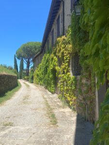 pieve di romena